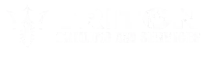 Environmental Geotechnical Drilling Triton Drilling Services